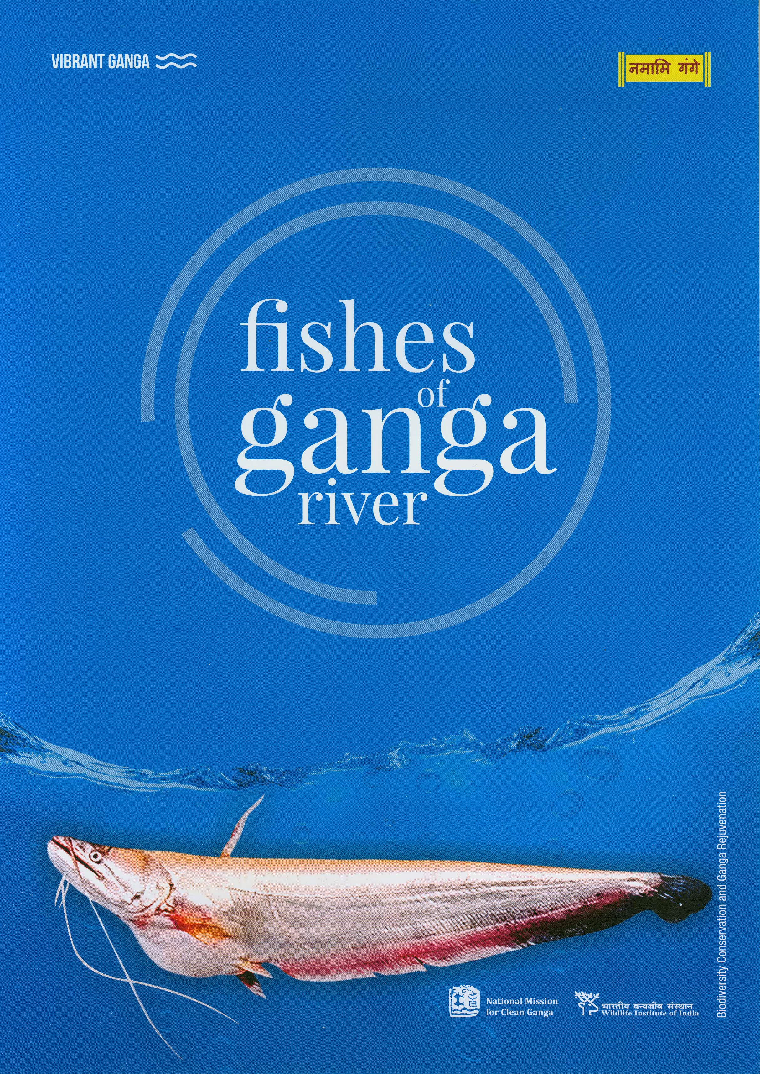 Fishimg