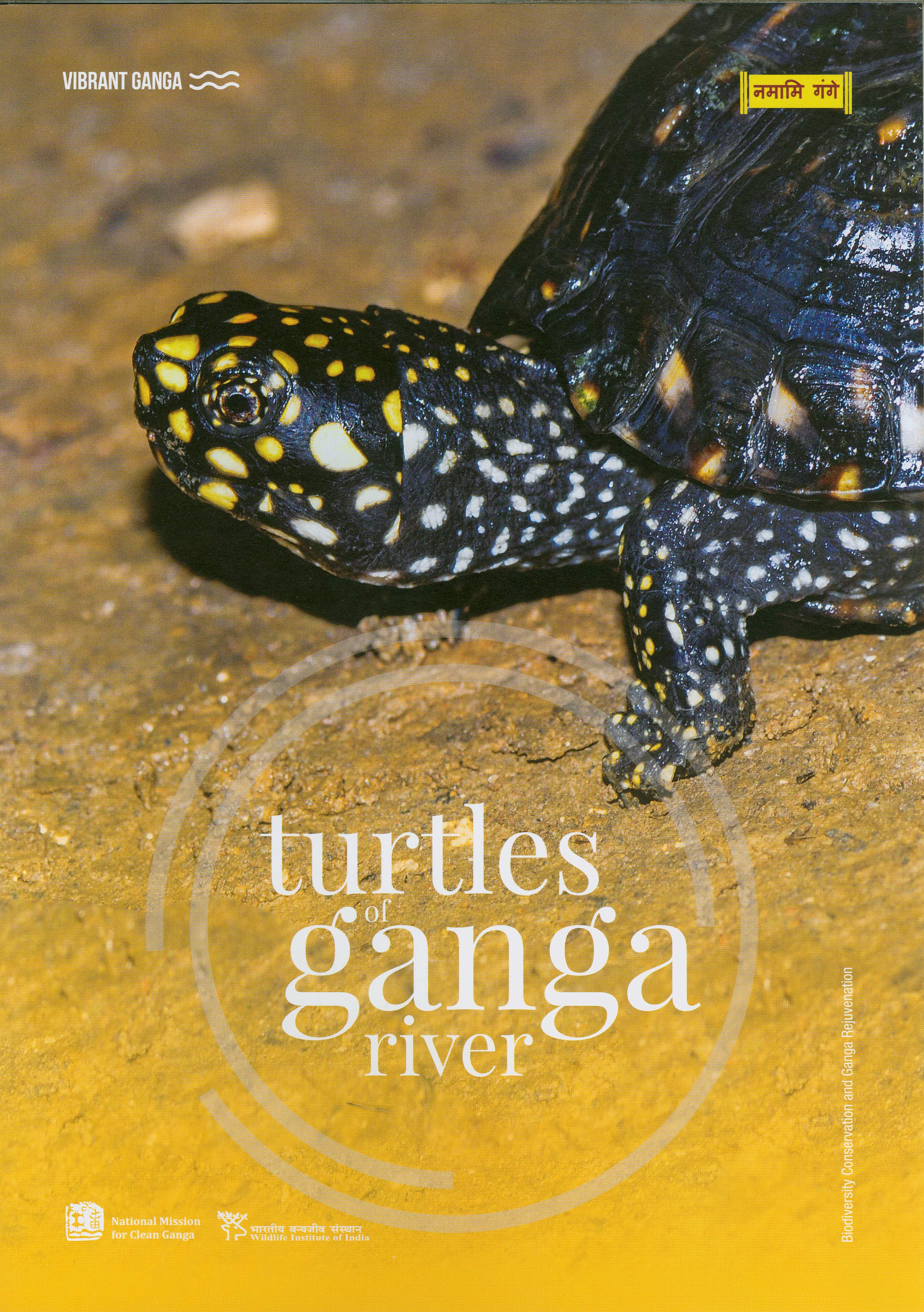 Turtlesimg